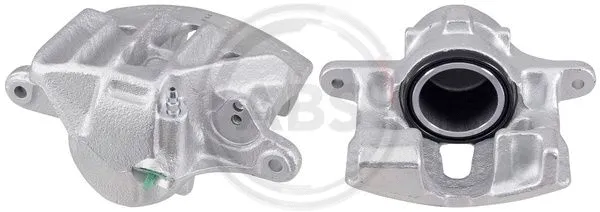 Brake Caliper (528851)