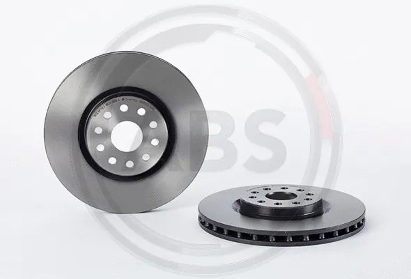 Brake Disc (09.7074.11)