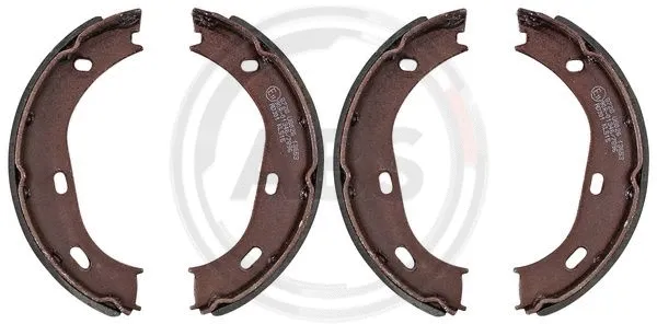Brake Shoe Set, parking brake (8728)