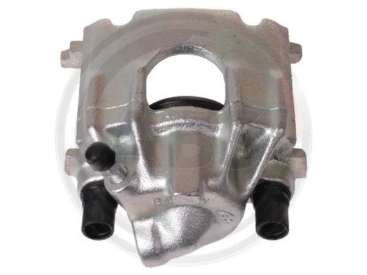 Brake Caliper (428881)