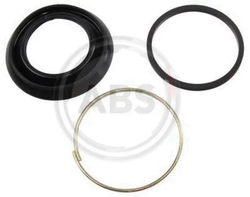 Repair Kit, brake caliper (43539)