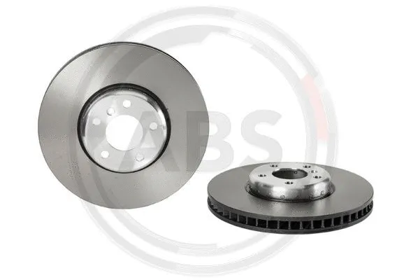 Brake Disc (09.C405.13)