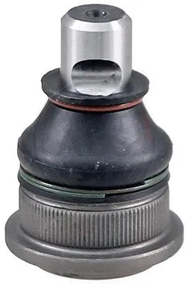 Ball Joint (220619)