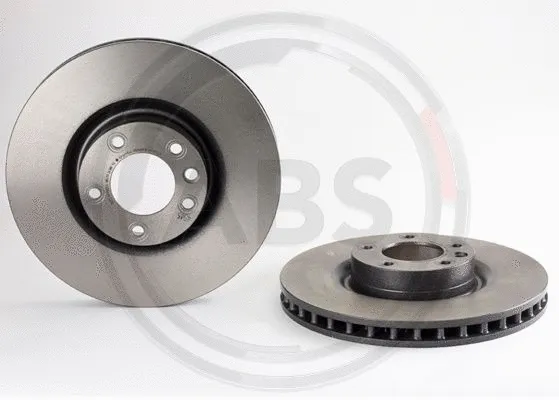 Brake Disc (09.9870.11)