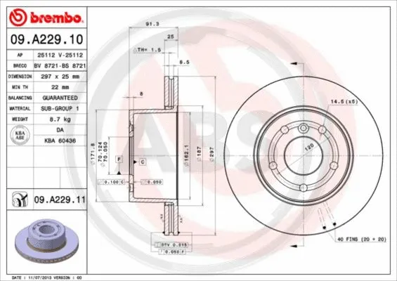Brake Disc (09.A229.11)