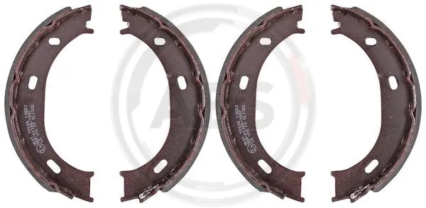 Brake Shoe Set, parking brake (9021)