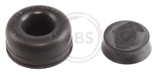 Repair Kit, clutch slave cylinder (53292)
