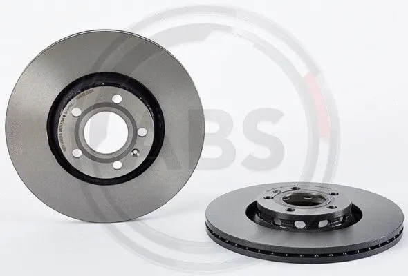 Brake Disc (09.8690.11)