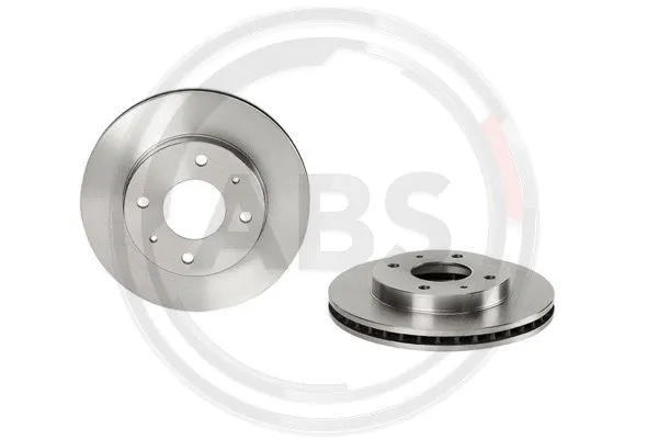 Brake Disc (09.9617.10)