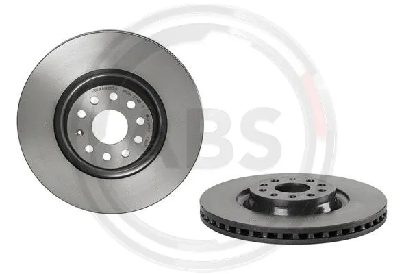 Brake Disc (09.C306.11)