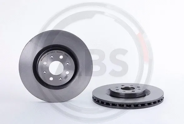 Brake Disc (09.8004.31)