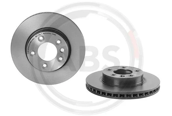 Brake Disc (09.C881.11)