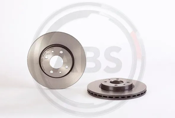 Brake Disc (09.9630.10)