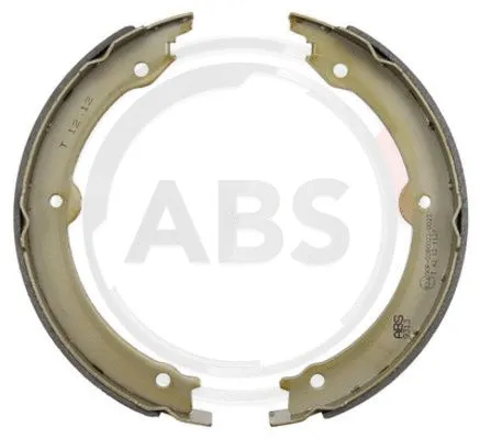 Brake Shoe Set, parking brake (9313)