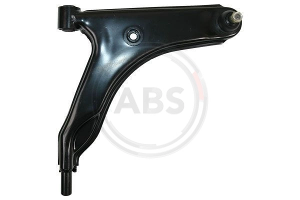 Control/Trailing Arm, wheel suspension (210373)