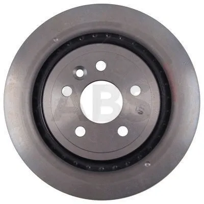 Brake Disc (17931)