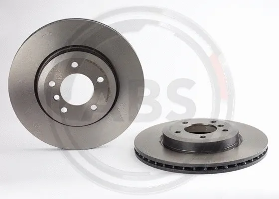 Brake Disc (09.8952.11)