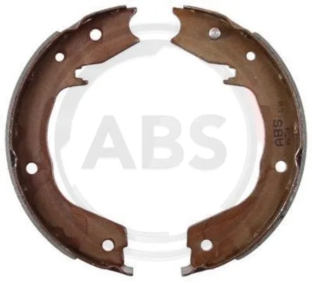 Brake Shoe Set, parking brake (9254)