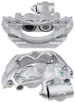 Brake Caliper (430972)