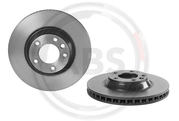 Brake Disc (09.C882.11)