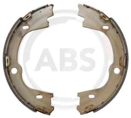 Brake Shoe Set, parking brake (9279)