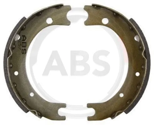 Brake Shoe Set, parking brake (9257)