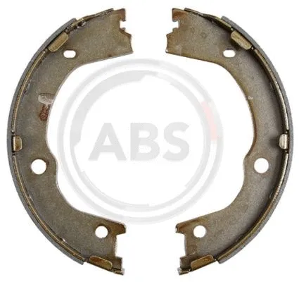 Brake Shoe Set, parking brake (9299)
