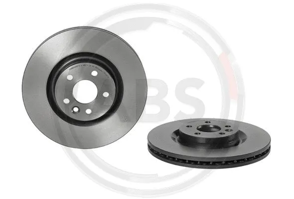 Brake Disc (09.C207.11)