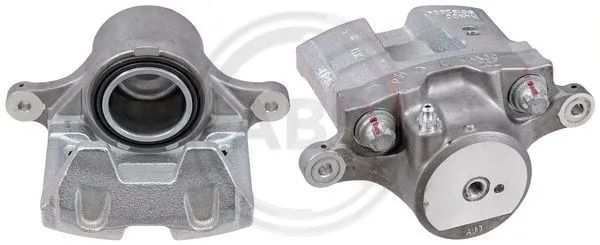Brake Caliper (420812)