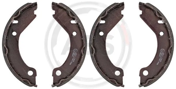 Brake Shoe Set, parking brake (8910)