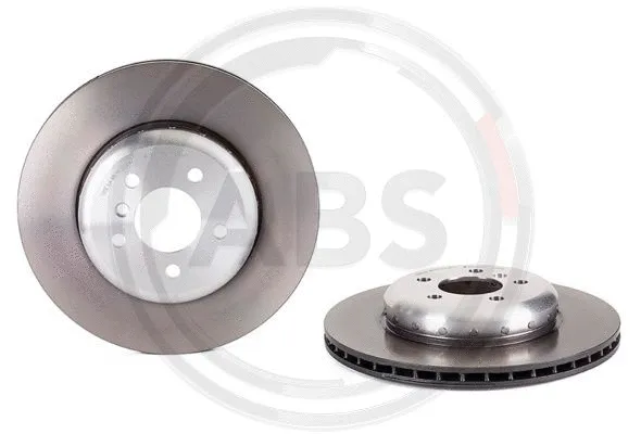 Brake Disc (09.C404.13)