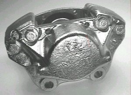 Brake Caliper (429551)