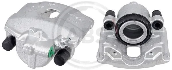 Brake Caliper (432072)
