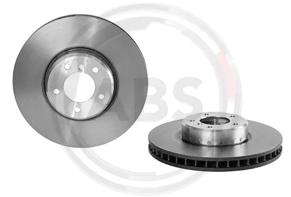 Brake Disc (09.C393.13)
