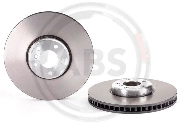 Brake Disc (09.C417.13)