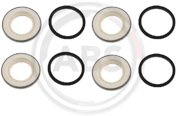 Repair Kit, brake caliper (43517)