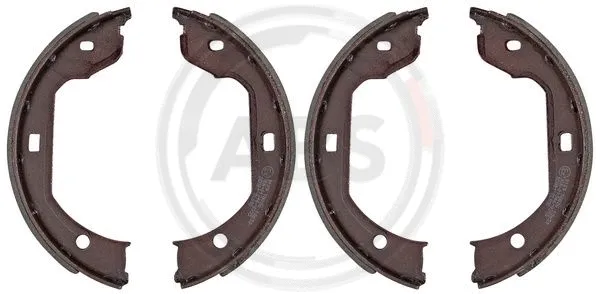 Brake Shoe Set, parking brake (9109)