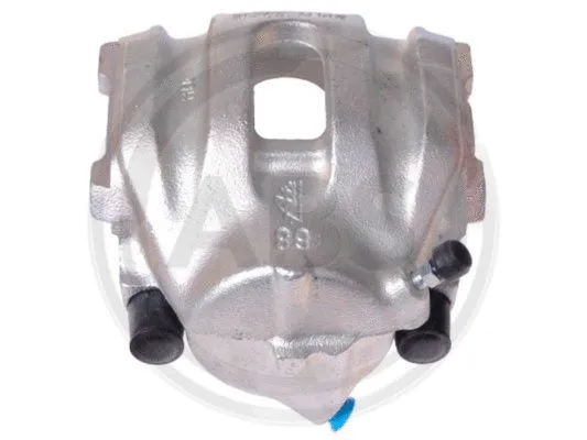 Brake Caliper (429892)