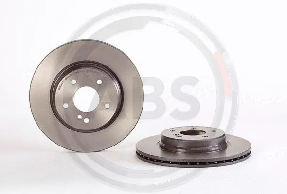 Brake Disc (09.A742.11)