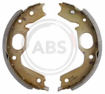 Brake Shoe Set, parking brake (9172)