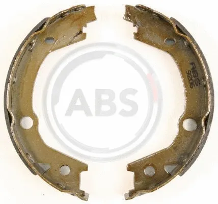 Brake Shoe Set, parking brake (9206)