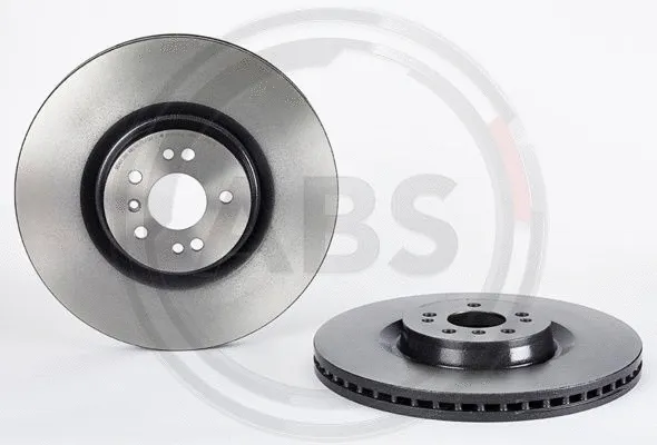Brake Disc (09.R105.11)