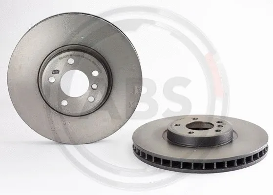 Brake Disc (09.A542.11)