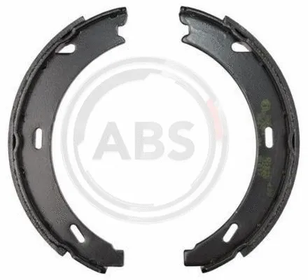 Brake Shoe Set, parking brake (9168)