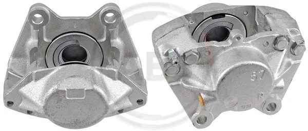 Brake Caliper (428682)