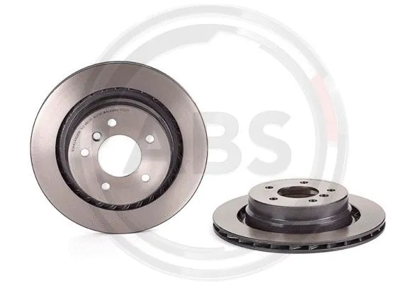 Brake Disc (09.8699.11)