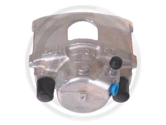 Brake Caliper (428502)