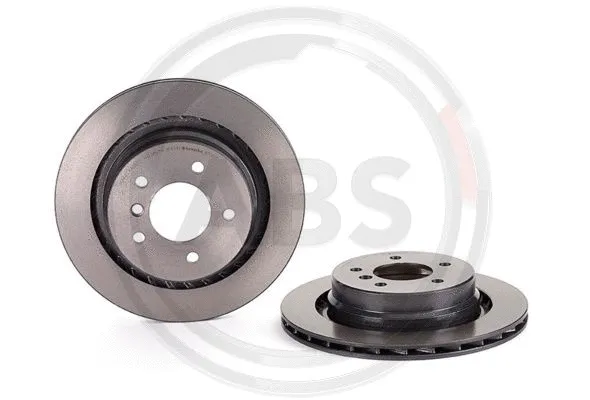 Brake Disc (09.8700.11)