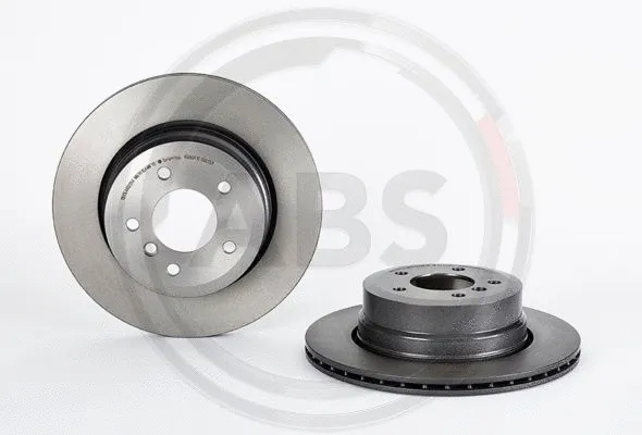 Brake Disc (09.B313.11)