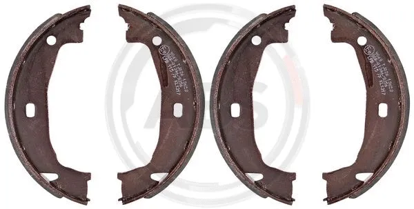 Brake Shoe Set, parking brake (9069)